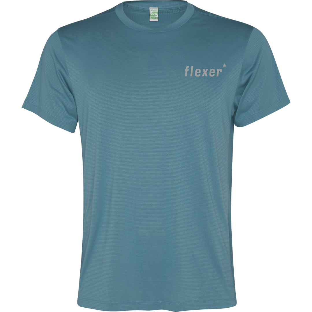 Camiseta técnica Control Dry flexer*